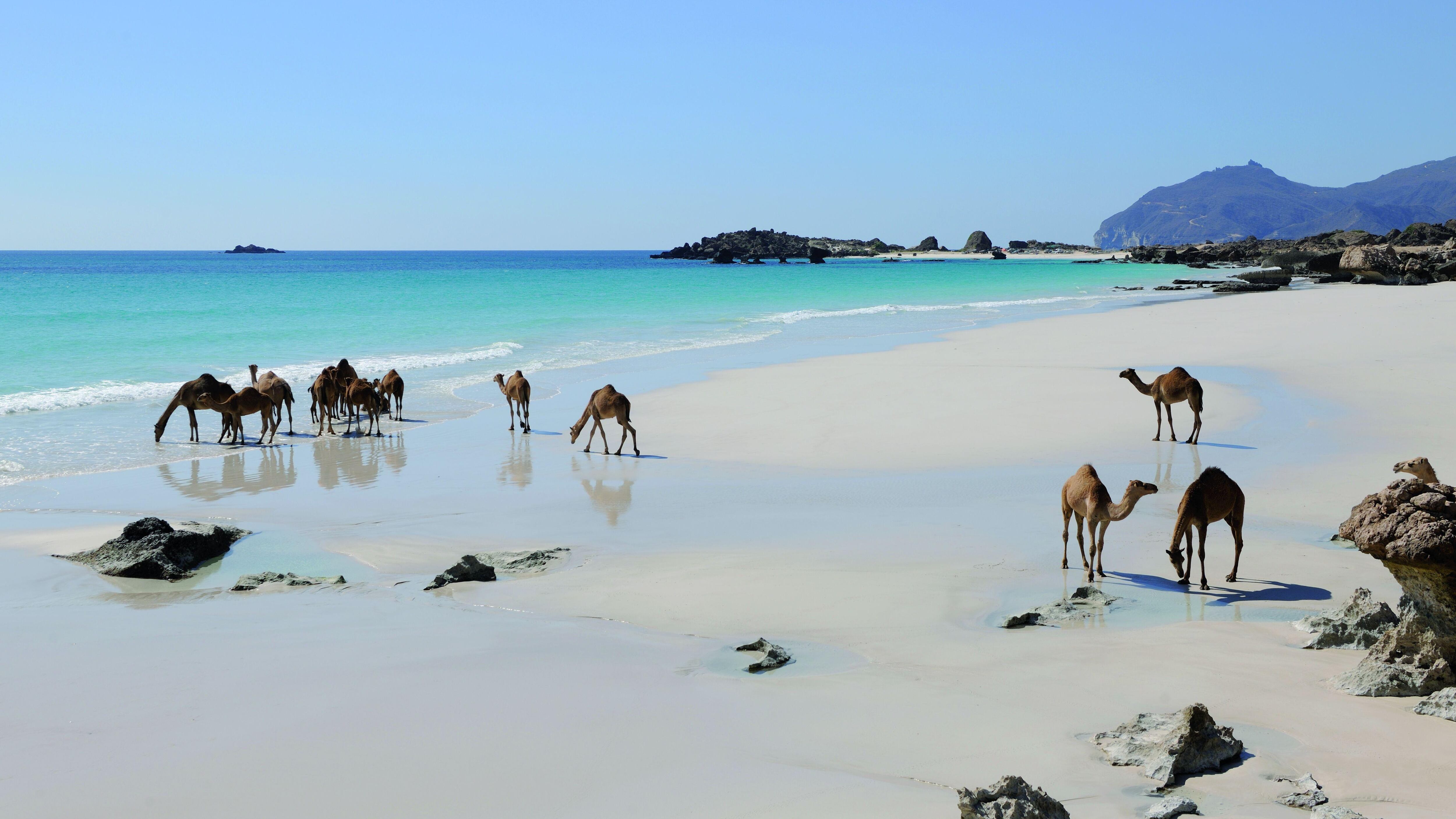 In Oman non c'è solo il deserto: mare, montagna e oasi da scoprire