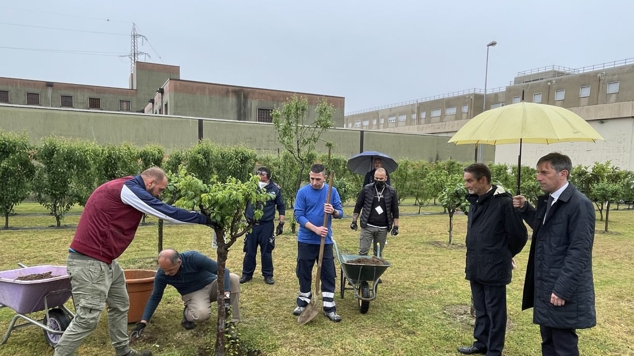 Il frutteto in carcere curato dai detenuti. "Serve a socializzare e a dar loro lavoro"