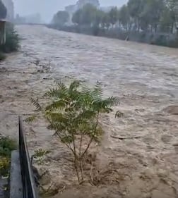 Il maltempo flagella la Liguria: strade allagate e fiumi in piena 4