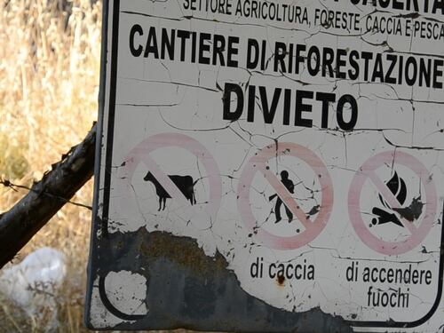 Sulle tracce dei piromani