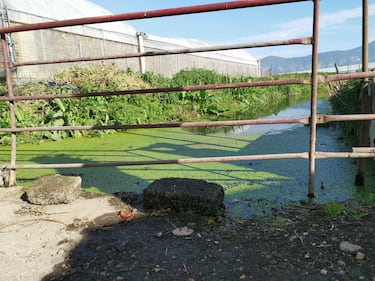 Tra gli affluenti del fiume Sarno a rischio esondazioni 5