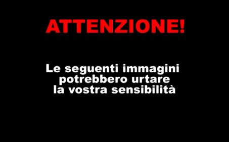 I morti dell'Isis 1