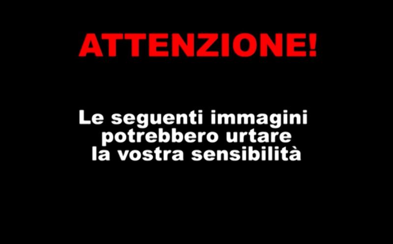 I morti dell'Isis 1
