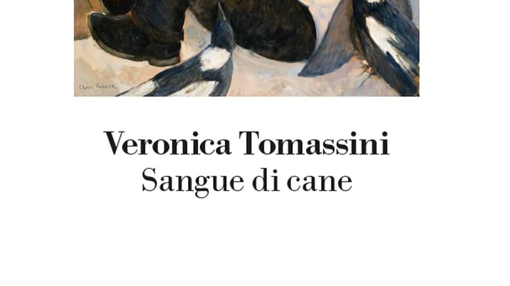 Crudeltà e pietà nel romanzo di Tomassini
