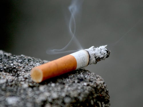 Uno studio sul fumo dimostra che siamo noi a scimmiottare