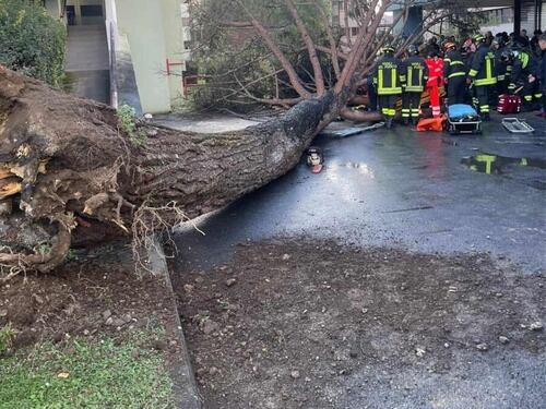 Paura al campus dell'università di Salerno, albero finisce sugli studenti: tre in codice rosso