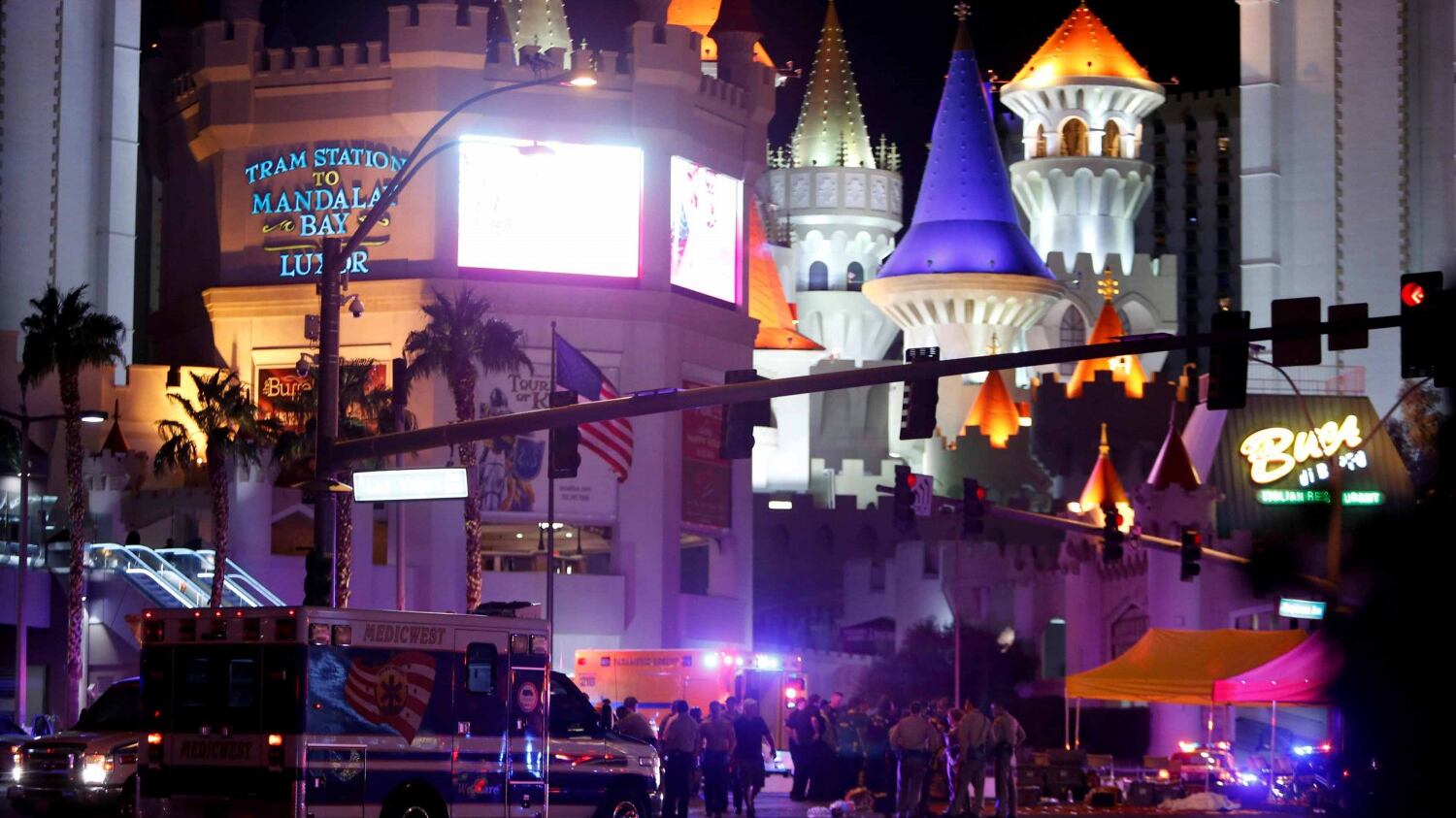 "Las Vegas? Non è stato un lupo solitario, c'erano più cecchini"