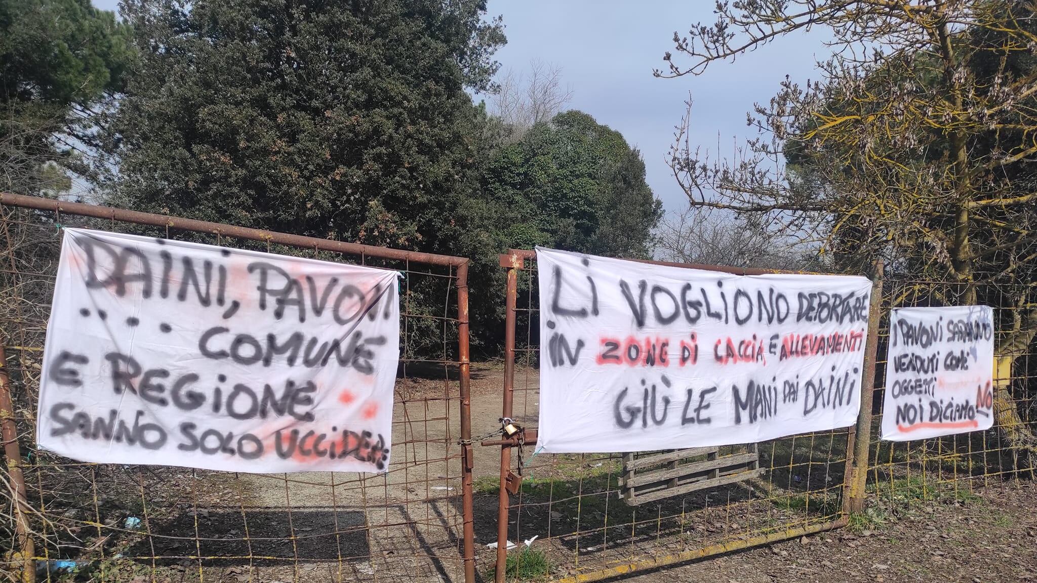 Anche gli ambientalisti scaricano la sinistra: l'attacco al Pd