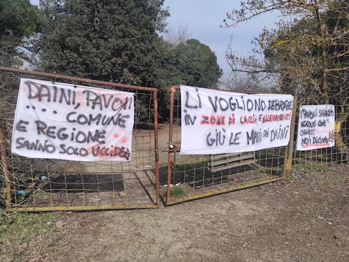 Anche gli ambientalisti scaricano la sinistra: l'attacco al Pd