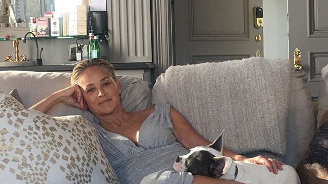 Sharon Stone: "Io, dimenticata come Lady Diana"