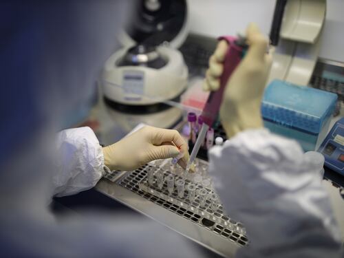 Elaboratori rotti e divelti: sabotato il laboratorio per i test Covid