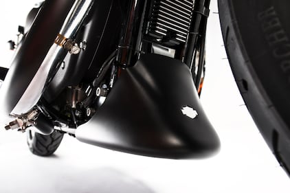 Harley-Davidson Iron 883 Special Edition S 12