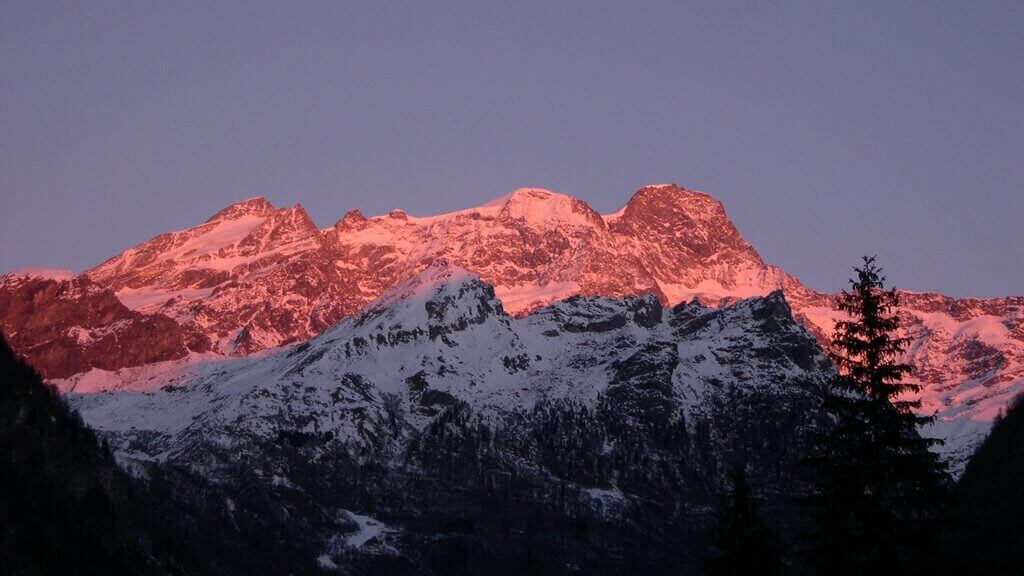 Nella "savana" del Biellese cresce il riso di montagna