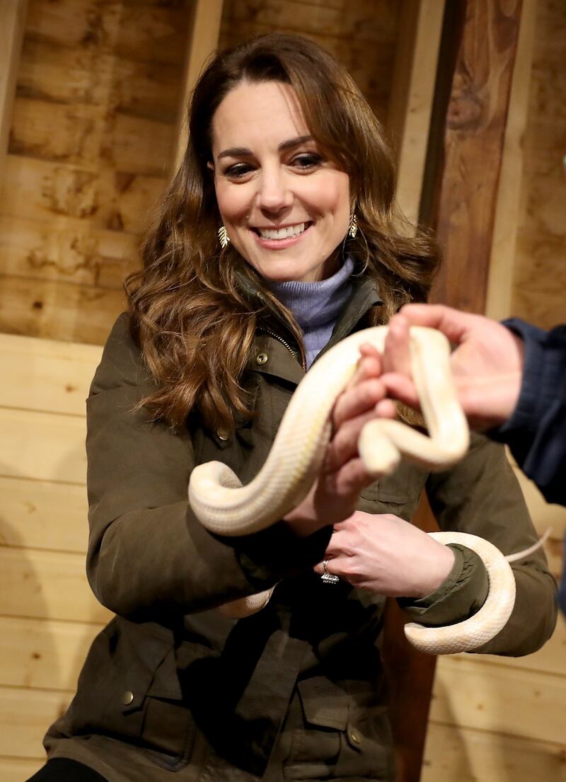 Royal Family, la linea di successione in foto 5