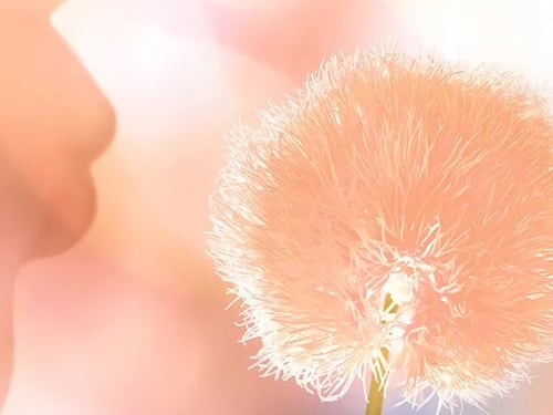 "Peach Fuzz": cos’è (e a cosa corrisponde) il colore dell’anno 2024