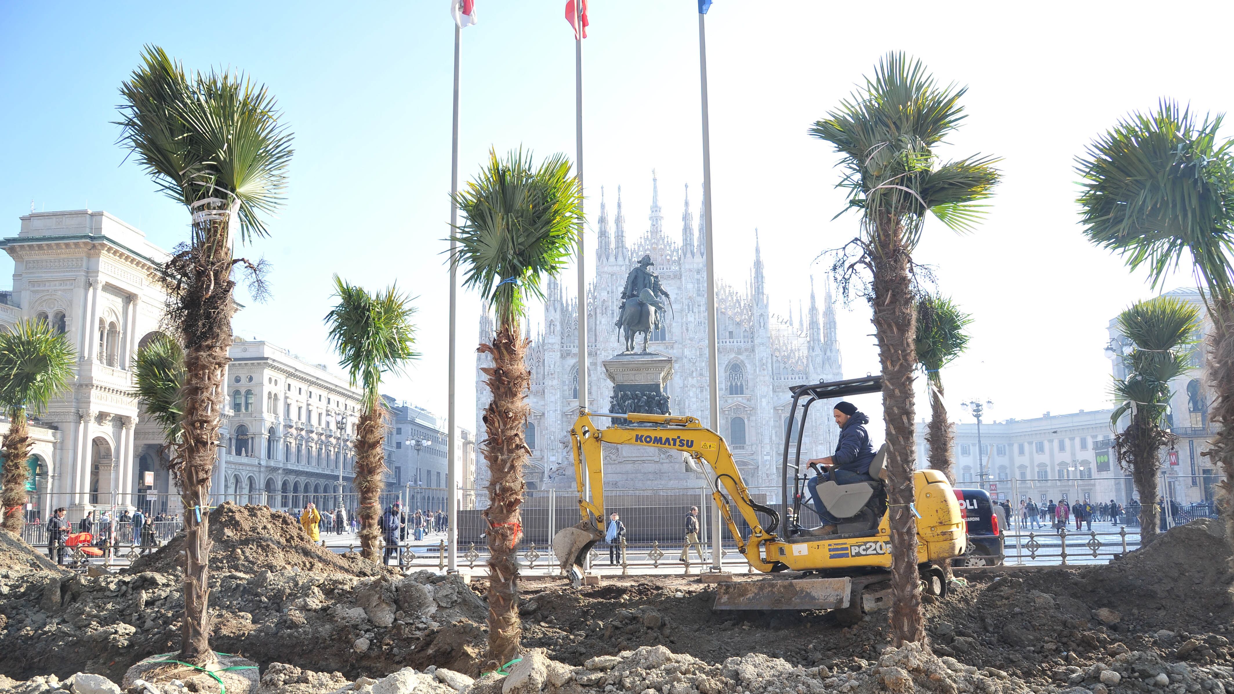 "Le palme in piazza Duomo? Coi cammelli sembra Africa"