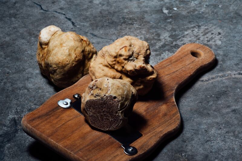 Tartufi