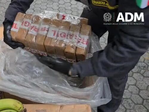 Cocaina nascosta tra le banane al porto di Gioia Tauro