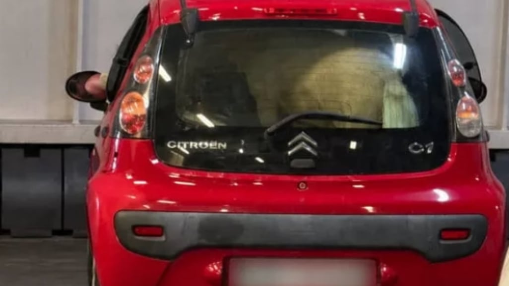 Pony nel bagagliaio di un'auto sul traghetto, la denuncia di Borrelli: "Com'è possibile che nessuno sia intervenuto?"