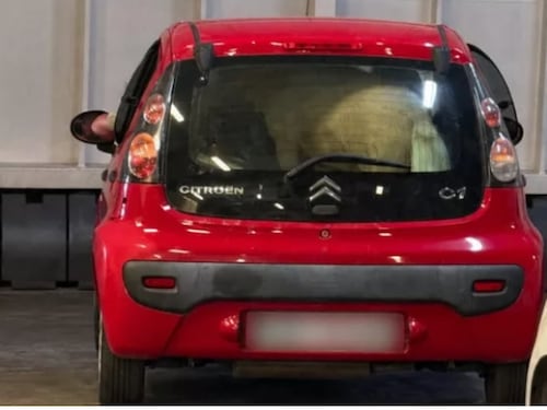 Pony nel bagagliaio di un'auto sul traghetto, la denuncia di Borrelli: "Com'è possibile che nessuno sia intervenuto?"