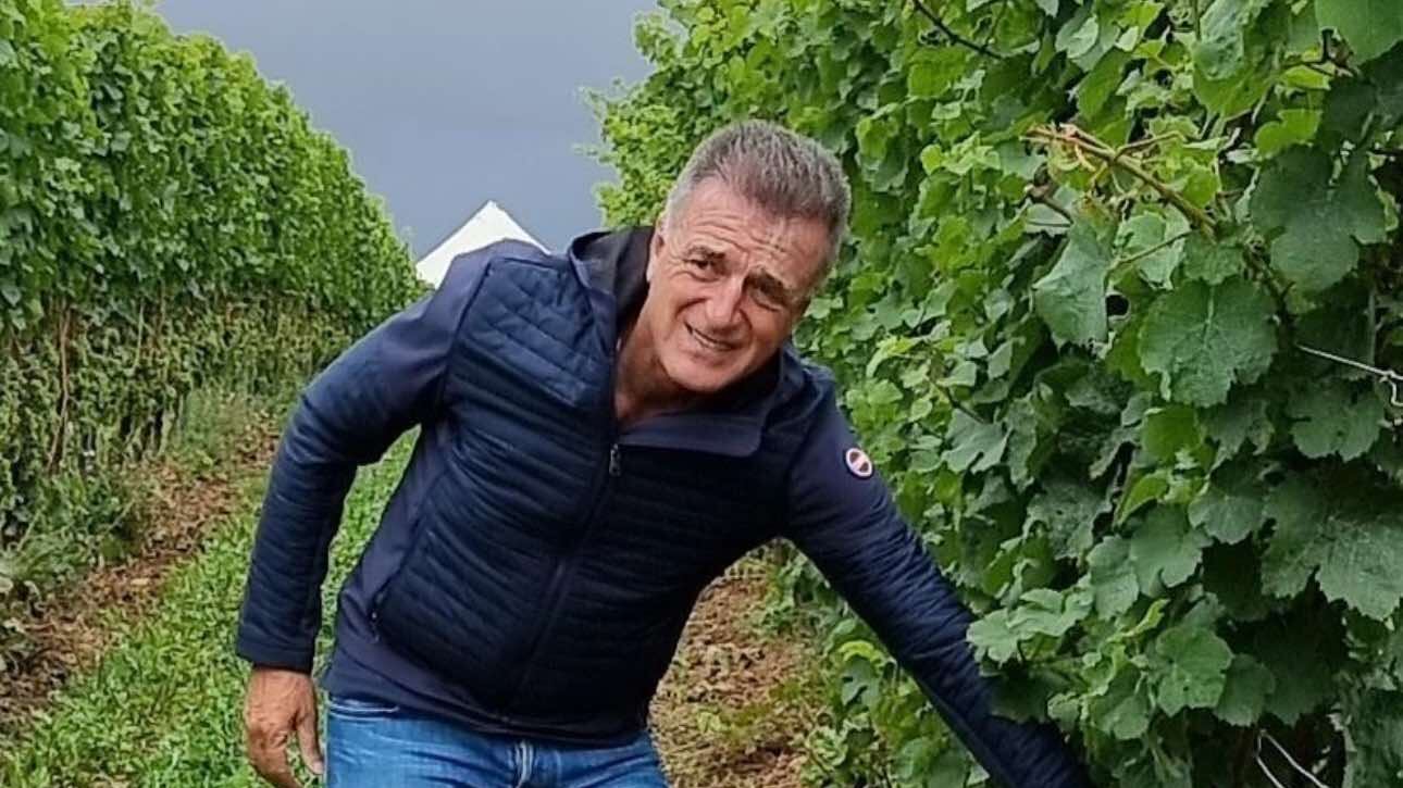 Fantini, l’enciclopedia del vino meridionale