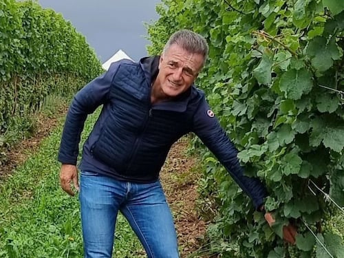 Fantini, l’enciclopedia del vino meridionale