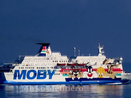 Migranti sulle navi quarantena, Galli: "Così il virus può dilagare"