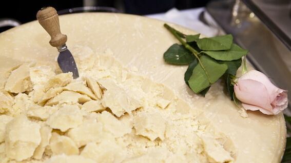 Parma, acceso l'inceneritore Grillo: "Parmigiano alla diossina" De Girolamo: "È incosciente"