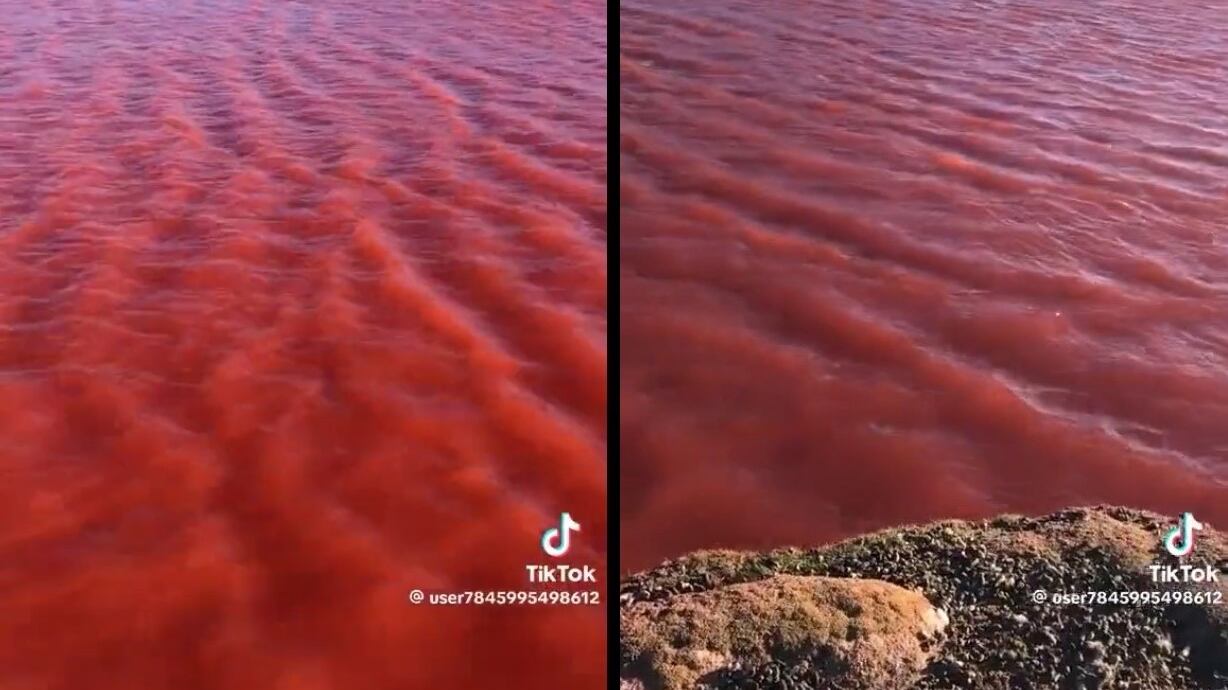 Il Nilo si tinge di rosso: profezia apocalittica o fenomeno naturale? Cosa sta accadendo