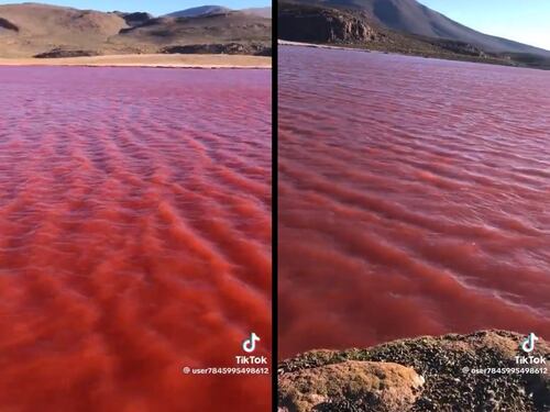 Il Nilo si tinge di rosso: profezia apocalittica o fenomeno naturale? Cosa sta accadendo