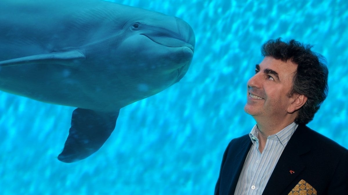 "Dalle crociere all'Acquario: il mio impero vista mare"