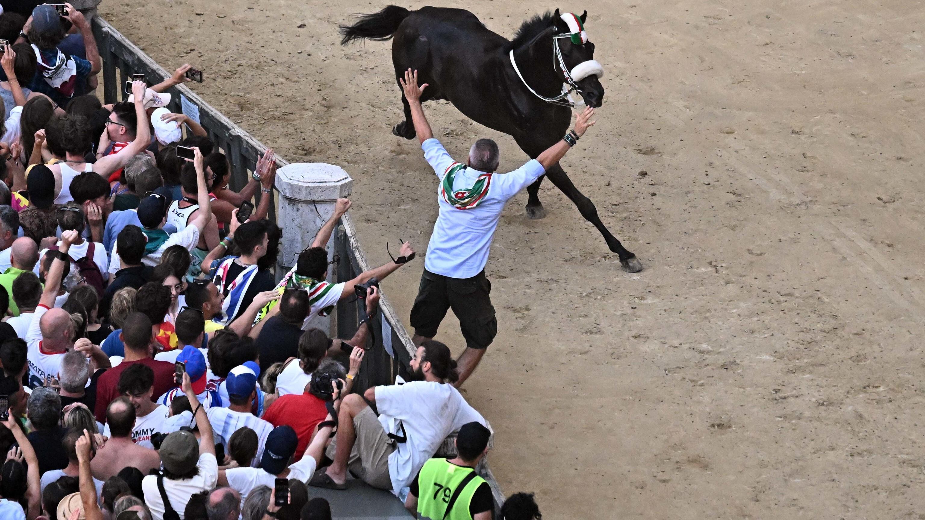 Palio di Siena, vince contrada dell'Oca con cavallo "scosso"