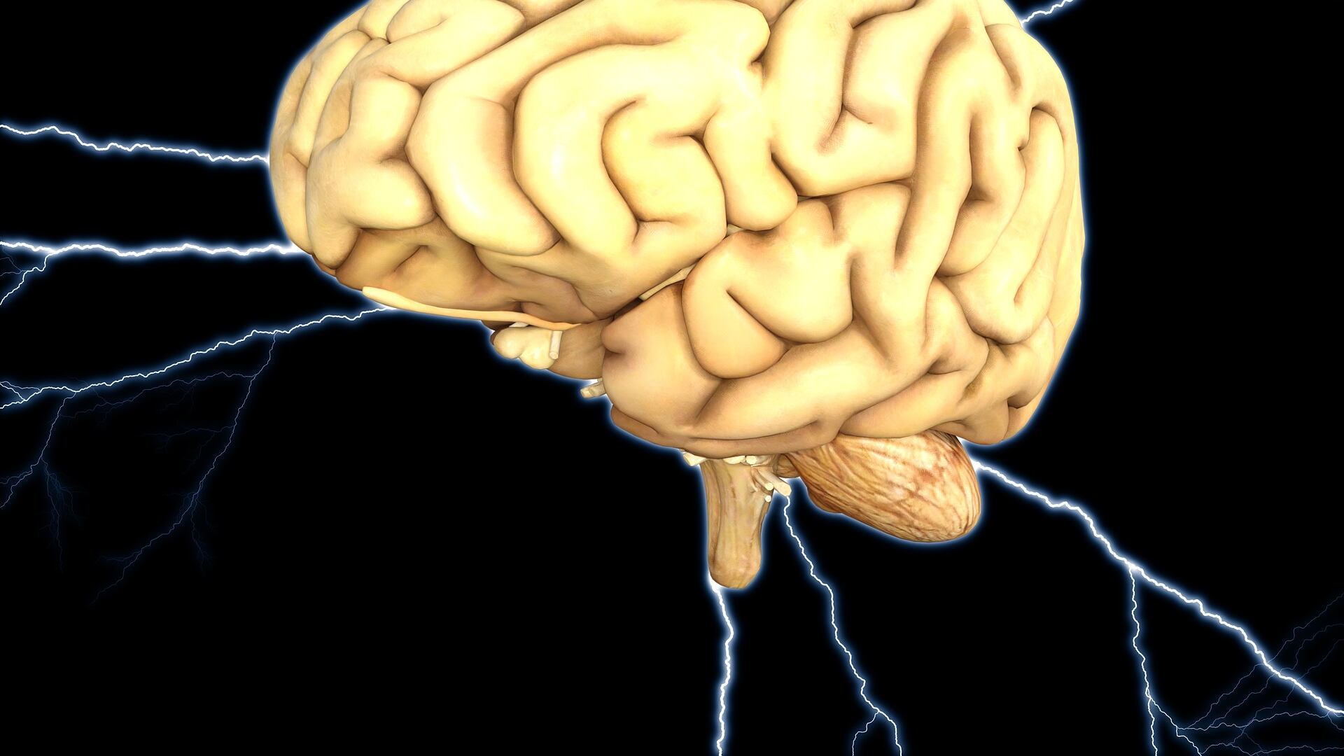 "Il cervello in quarantena? Cambia in tutti i sensi"