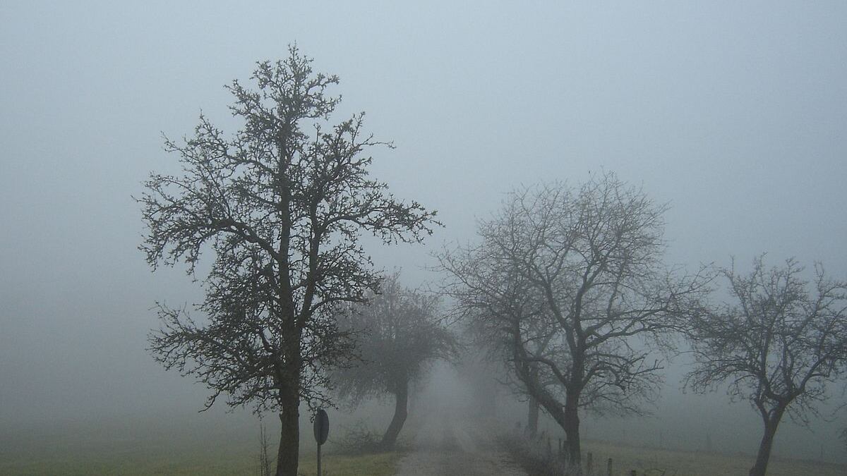 Meteo Immacolata, Italia spaccata in due: nebbie al Nord, primavera al Sud