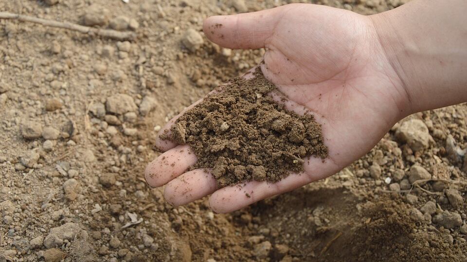 Dopo la morte il corpo diventa fertilizzante: la proposta degli Usa