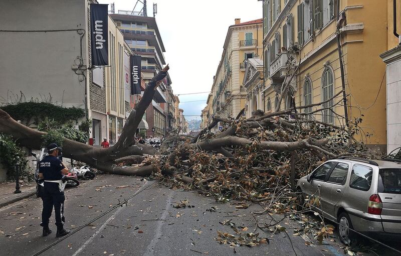 Crolla albero su Aurelia a Sanremo 8