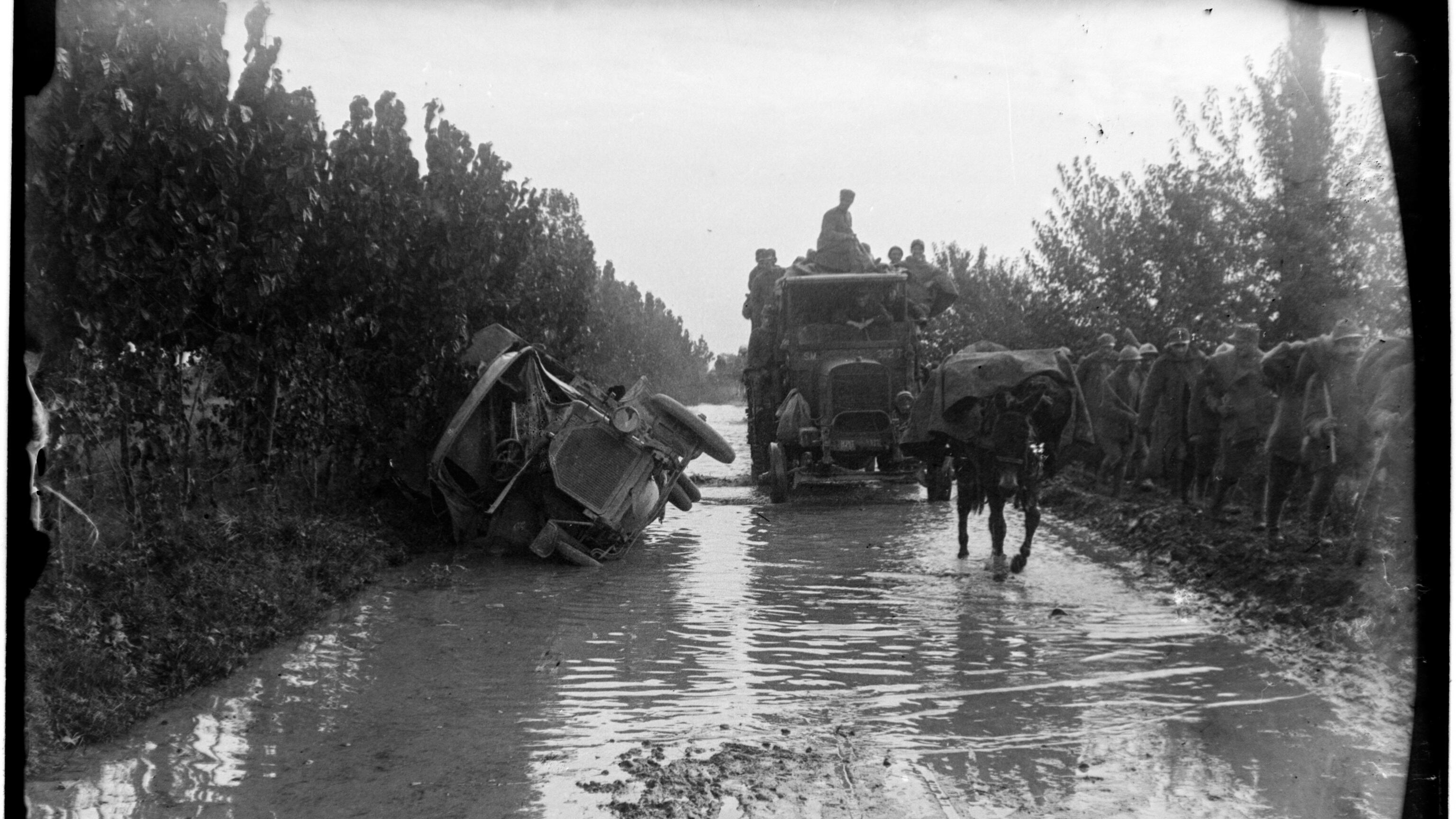 Tornano i muli come "tram" Un'idea davvero bestiale