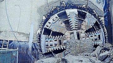 L'impatto dei lavori nel tratto Dateo-Concordia Sarà necessario abbattere oltre cento alberi