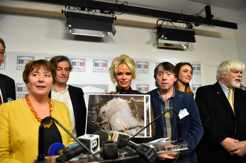 Pamela Anderson contro il foie gras 21