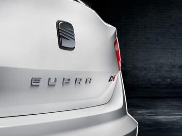 Seat Ibiza Cupra 15
