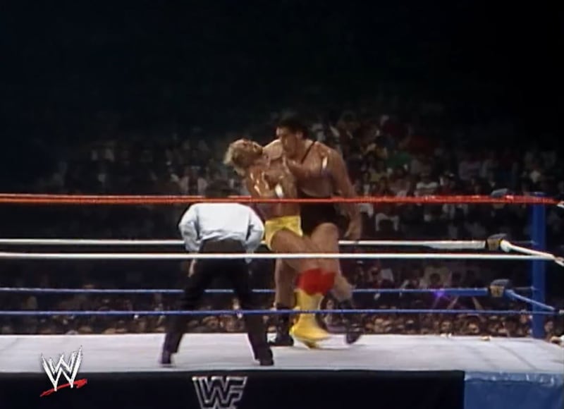 Addio ad Hulk Hogan 12