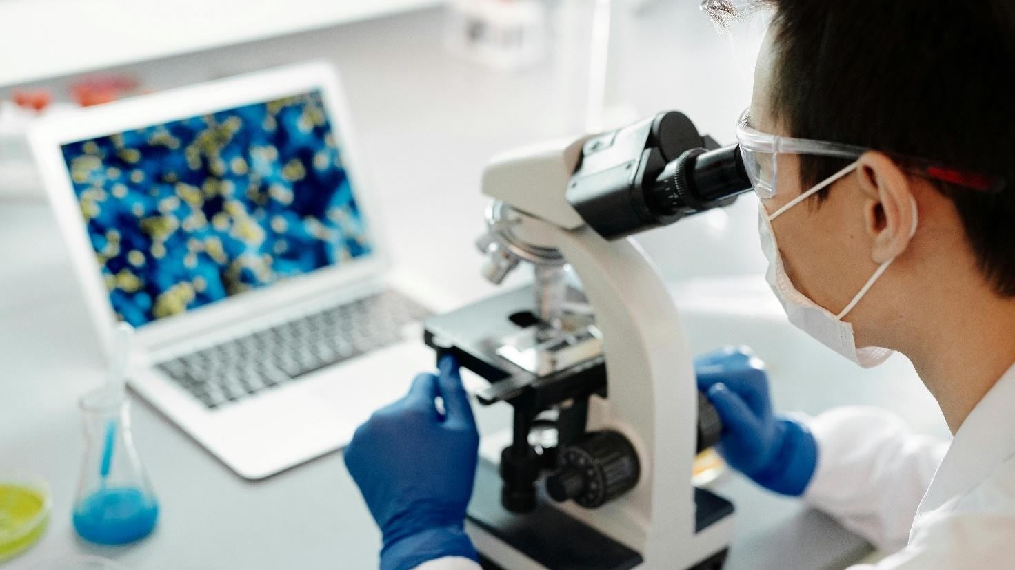 Topi sterili tornano fertili grazie all'mRNA. Uomini e topi e anni di bufale