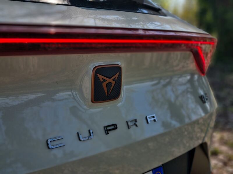 Cupra Formentor VZ5 Taiga Grey - La Prova  14