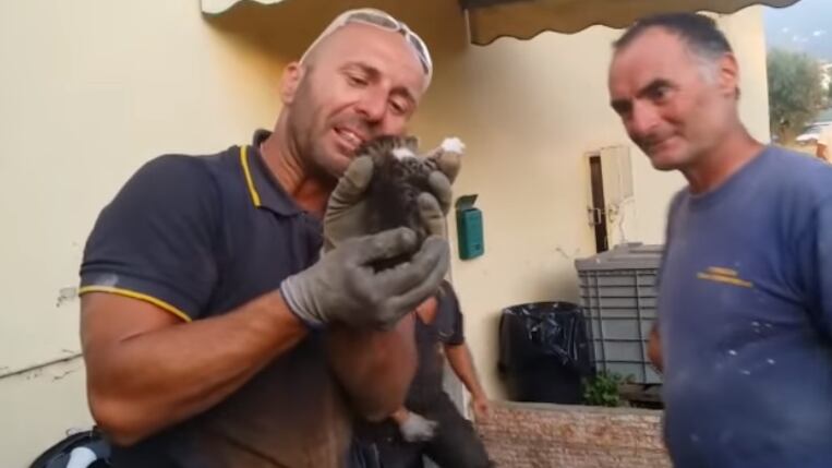 Pompiere salva il gattino e poi scoppia in lacrime