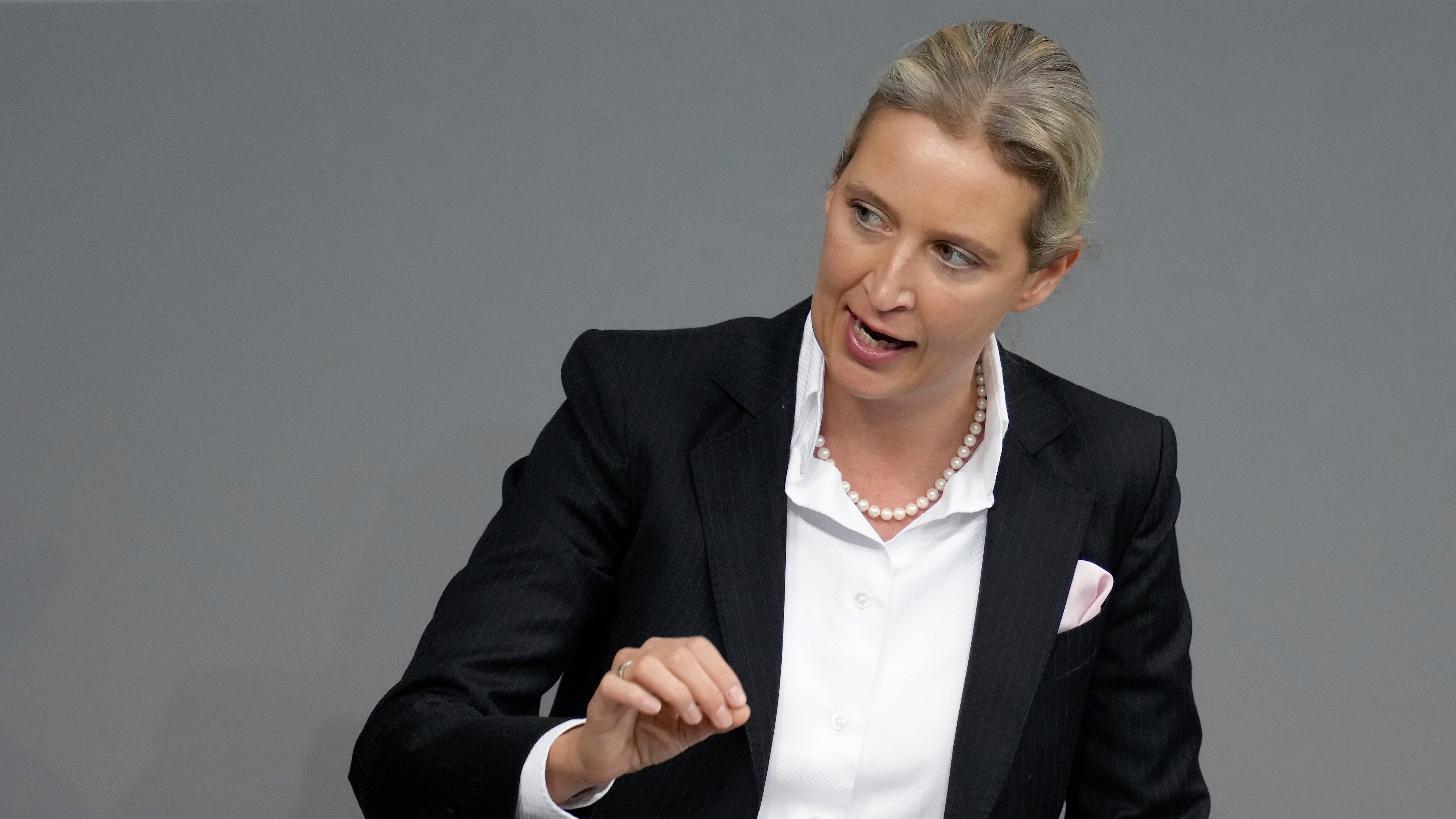Afd messa fuorilegge? Berlino ha la febbre e accusa il termometro