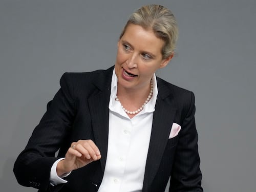 Afd messa fuorilegge? Berlino ha la febbre e accusa il termometro