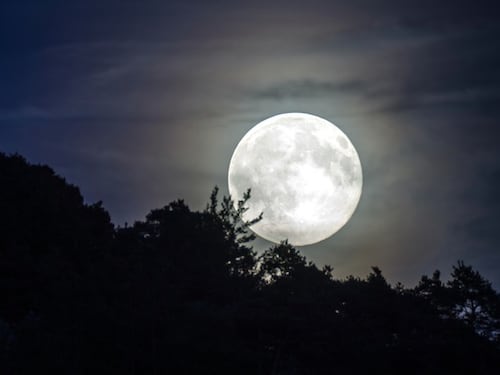 È la terza dell'anno ma la prima per grandezza: domani la Superluna più spettacolare del 2022