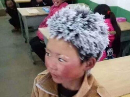 Cina, buone notizie per il piccolo "fiocco di neve"