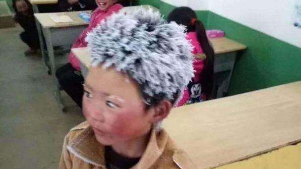 Cina, buone notizie per il piccolo "fiocco di neve"