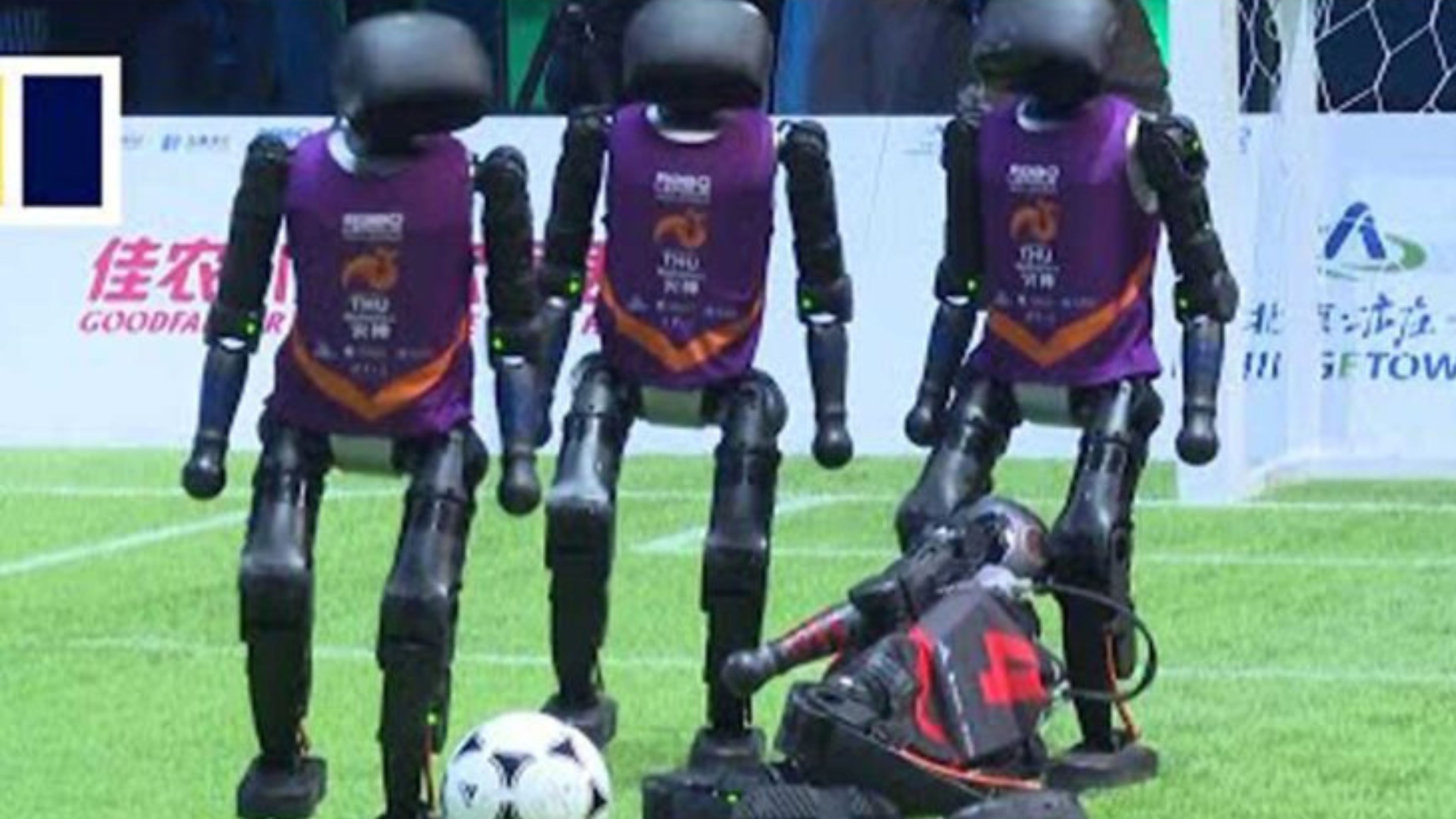 Dalla Cina arrivano le partite di calcio tra robot